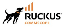 Ruckus Logo